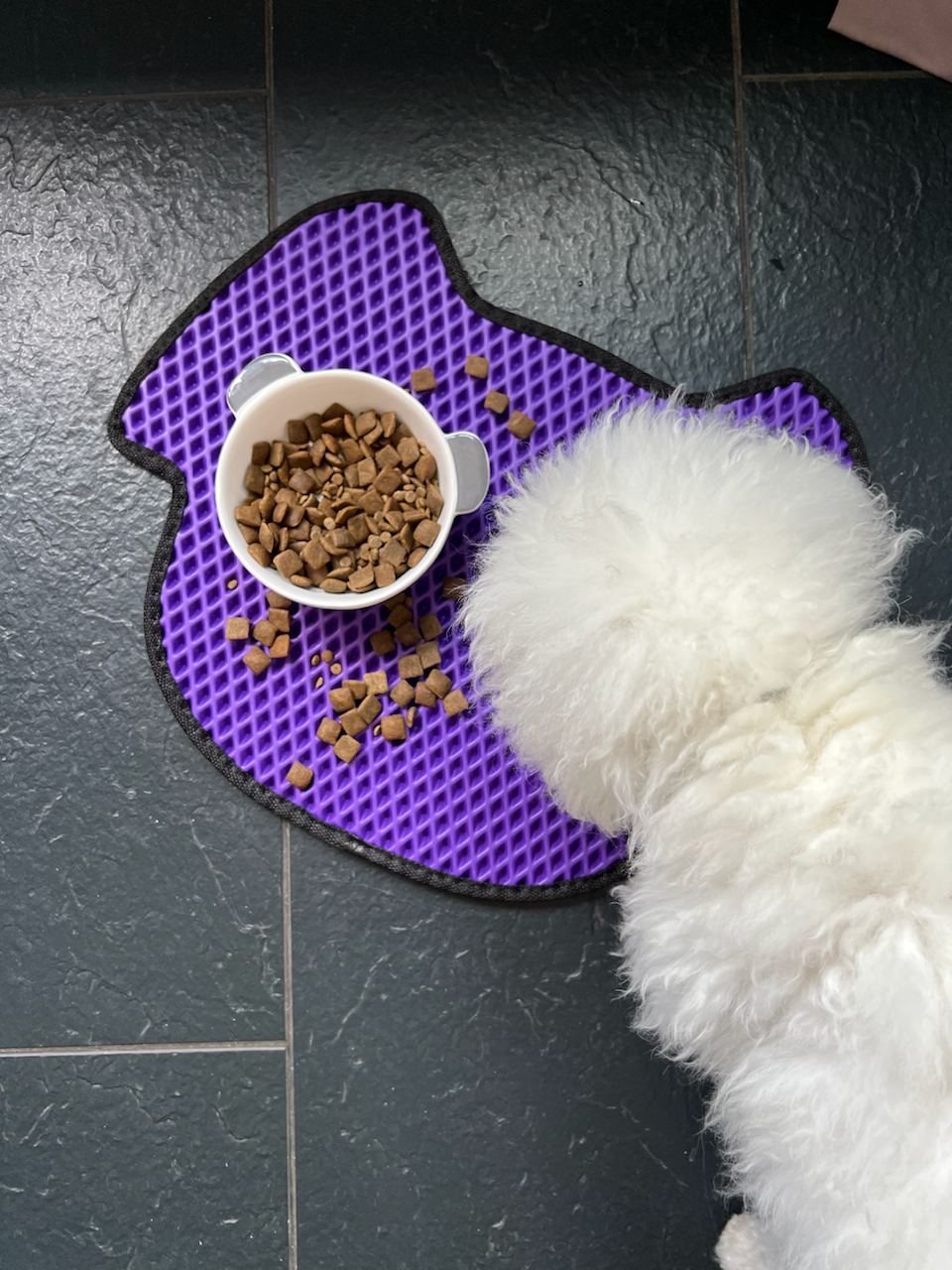 Tappetino per ciotola del cane