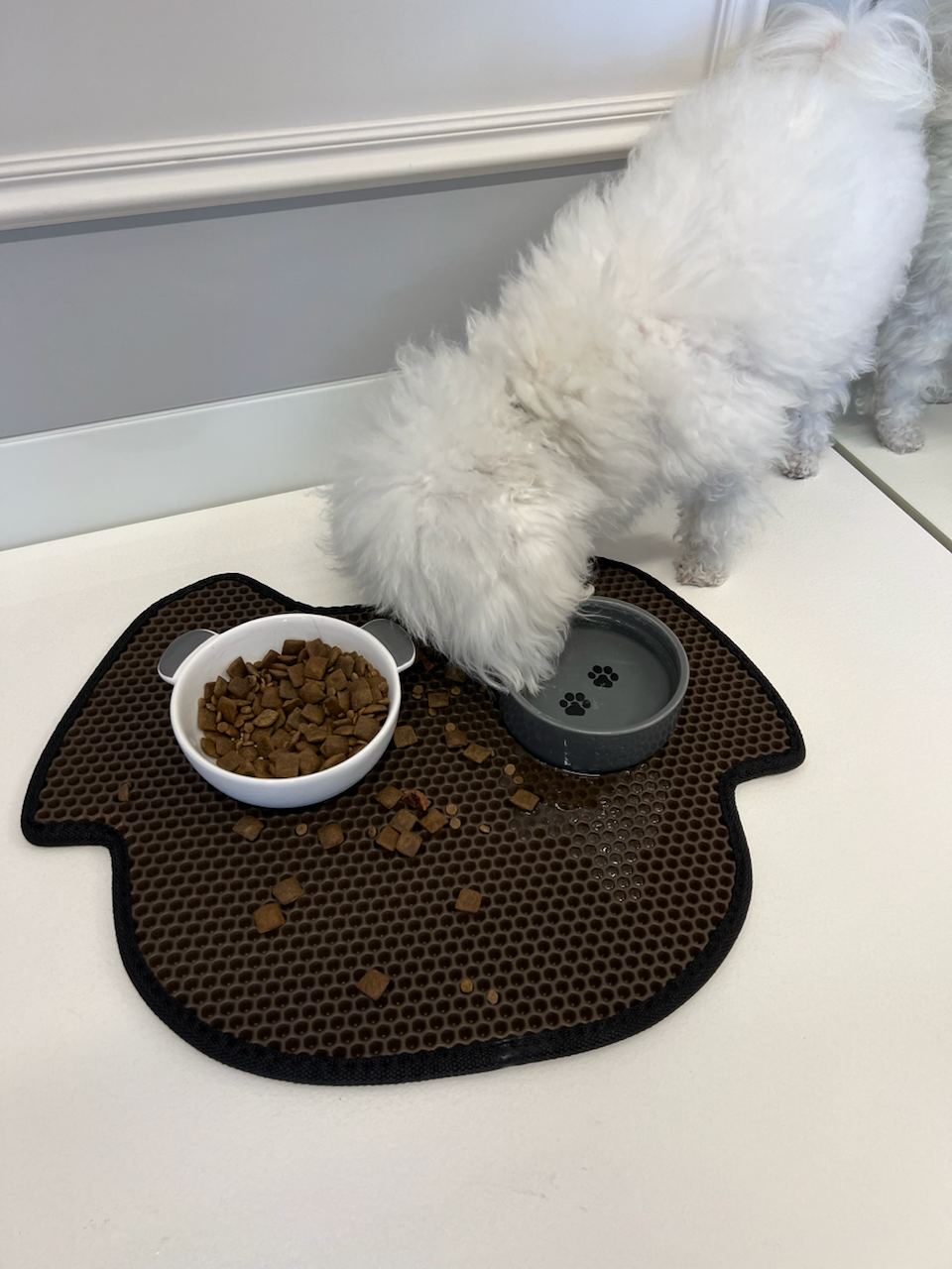 Tappetino per ciotola del cane