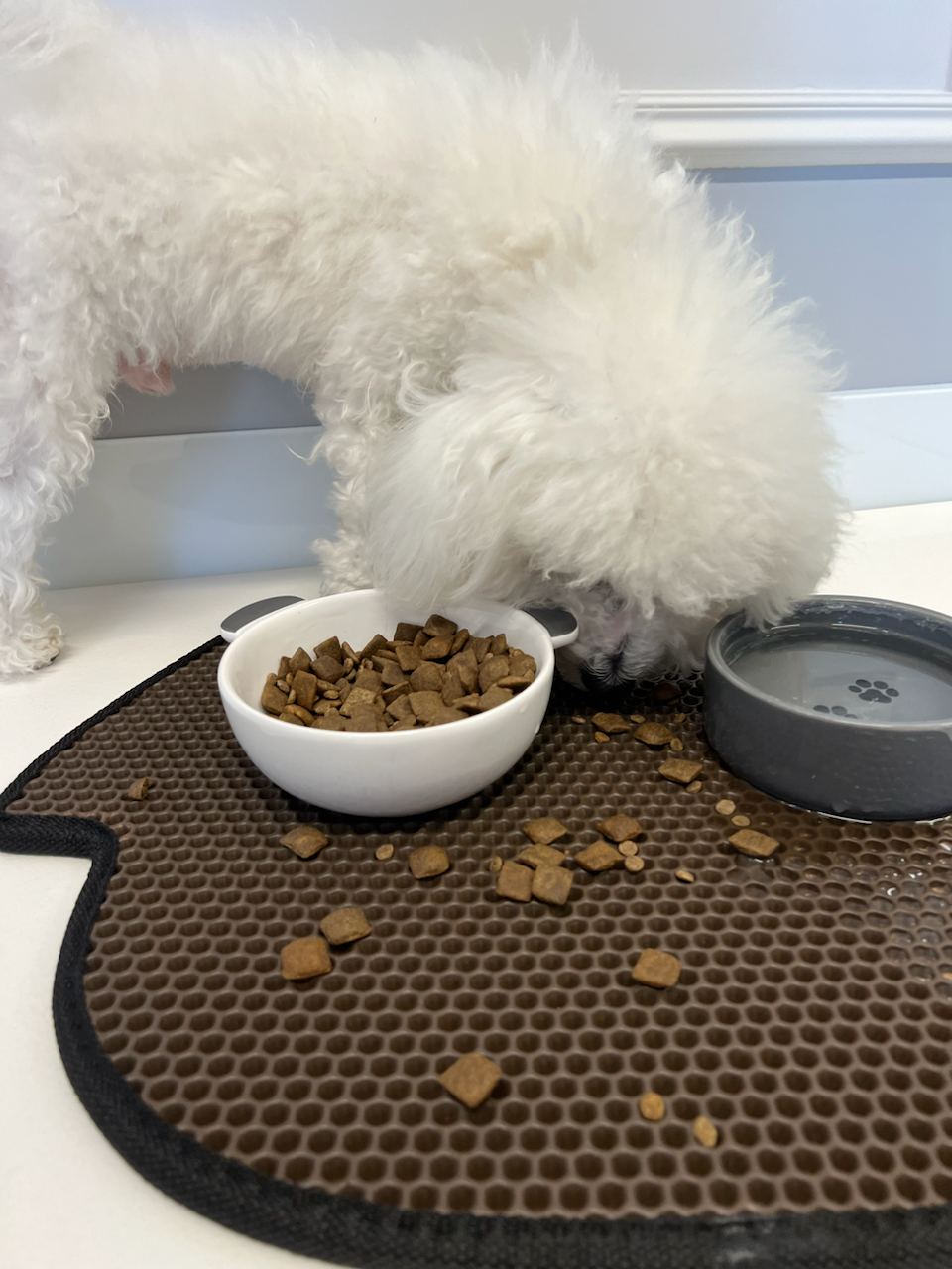 Tappetino per ciotola del cane