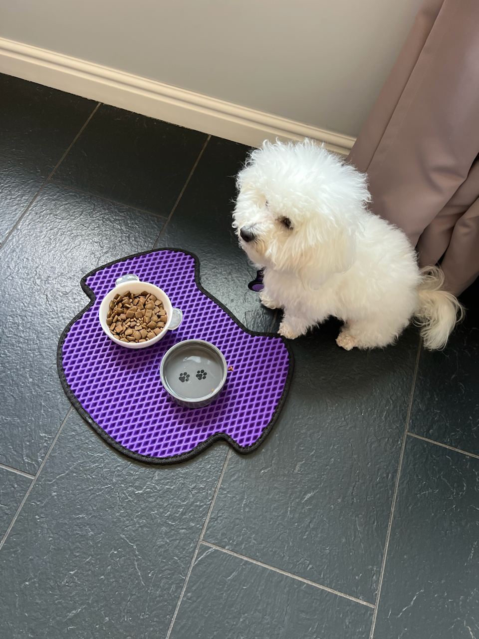 Tappetino per ciotola del cane